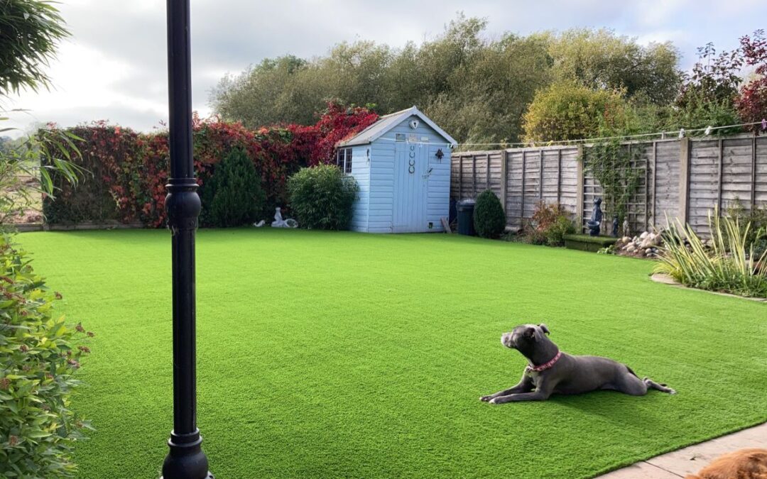 How Artificial Grass for Pets Enhances Your Outdoor Space