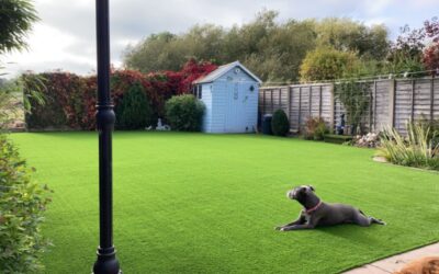 How Artificial Grass for Pets Enhances Your Outdoor Space