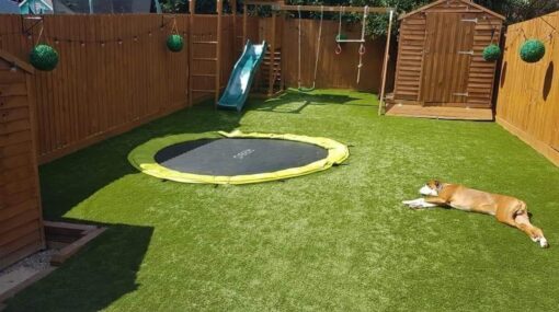 This is a photo of a dog laying on artificial grass in a garden in Leicester. This was installed by Leicester Artificial Grass Services