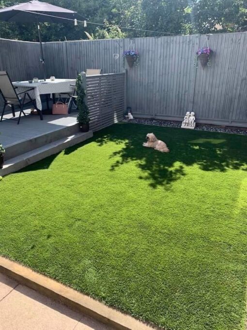 This is a photo taken in Leicester of a dog laying on fake grass this was installed by Leicester artificial grass services
